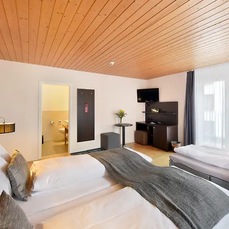 Otel Hotel Central 3*