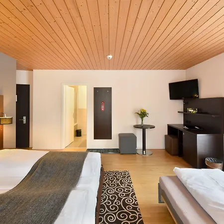 Hotel Central 3* Engelberg