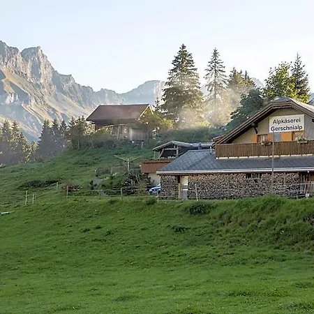 Hotel Central 3* Engelberg