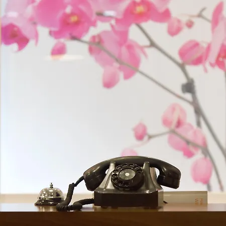 Hotel Central Hotel 3*