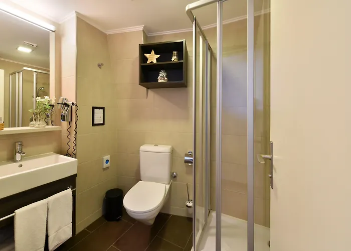 Hotel Central Hotel 3*