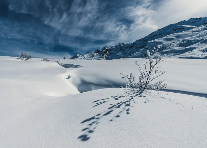 Hotel Hotel Central 3*