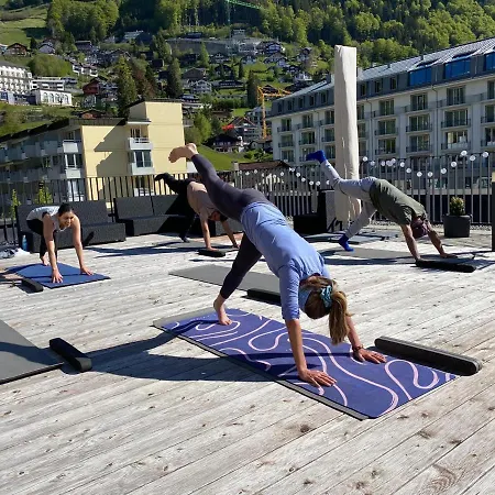 酒店 中央酒店 3*