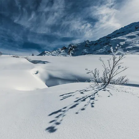 酒店 中央酒店 3*