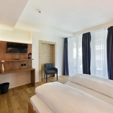 酒店 中央酒店 3*